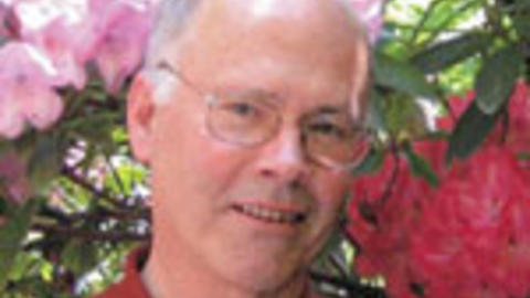 David McCann