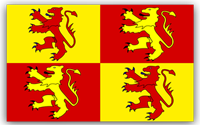 Welsh Dragons